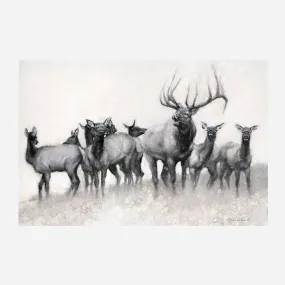 Calling in the Season - Elk Canvas Art